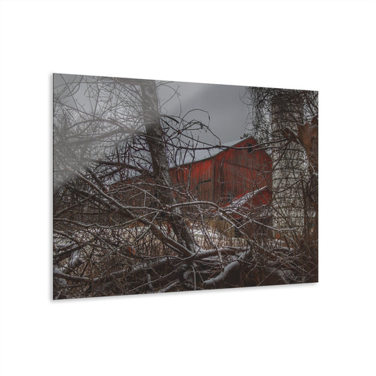 U R There Photography Sandhill Road Hidden Red II Rustic Farmhouse Acrylic Wall Print