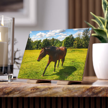 U R There Photography Brown Beauty II Rustic Farmhouse Decorative Ceramic Tile 6" × 8" Matte