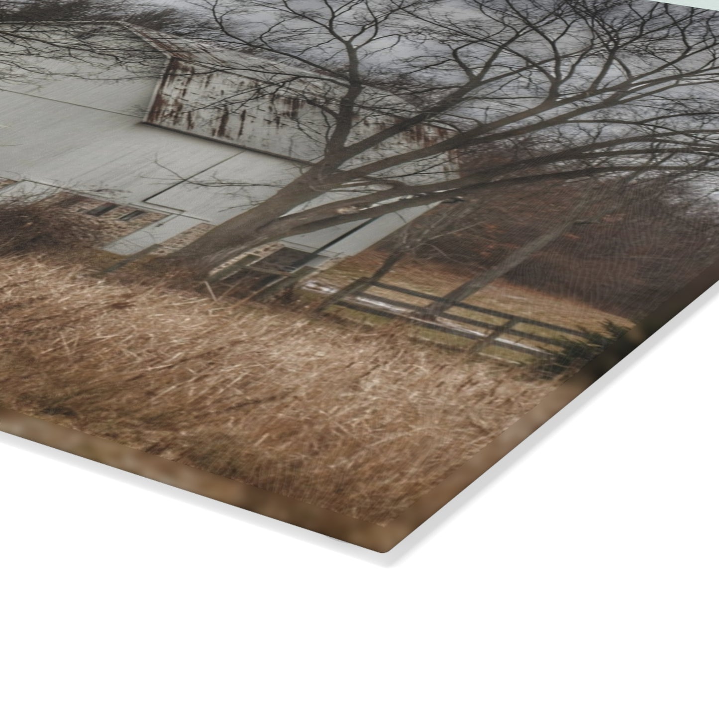 U R There Photography Oakwood Road White II Rustic Farmhouse Tempered-Glass Cutting Board