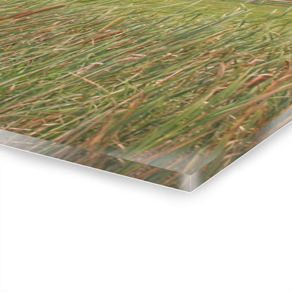 U R There Photography Greenwood Reds Rustic Farmhouse Acrylic Wall Print