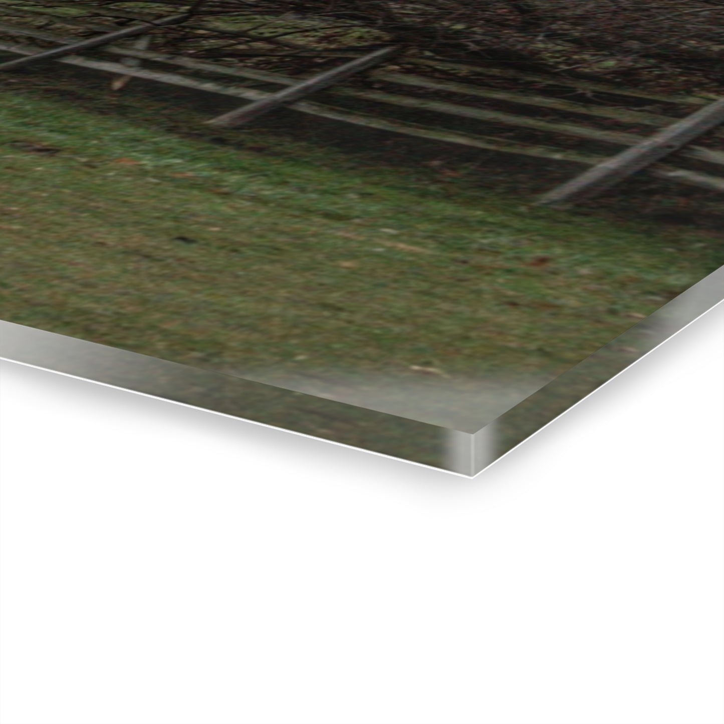 U R There Photography Myers Road Hidden White Rustic Farmhouse Acrylic Wall Print