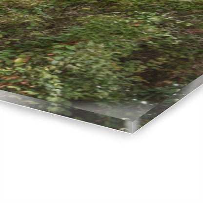 U R There Photography North Clio Road Red Rustic Farmhouse Acrylic Wall Print