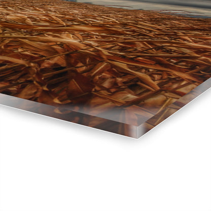 U R There Photography Garner Road Hidden White Rustic Farmhouse Acrylic Wall Print