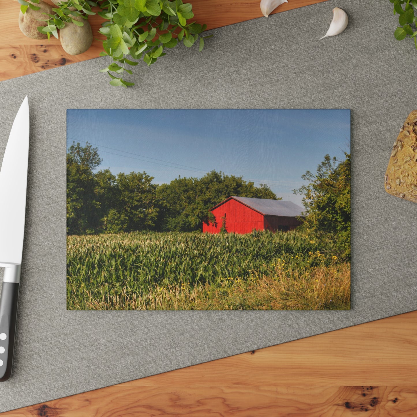 U R There Photography Willard Road Red II Rustic Farmhouse Tempered-Glass Cutting Board