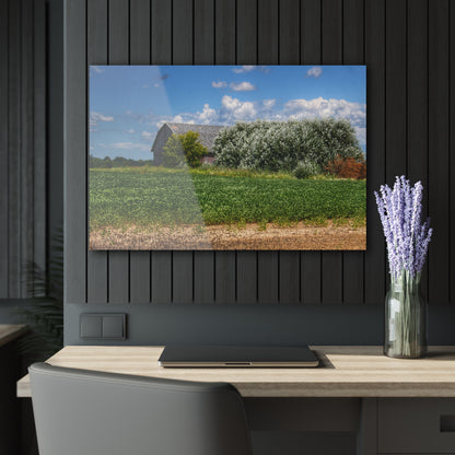 U R There Photography Lake Road Grey Rustic Farmhouse Acrylic Wall Print