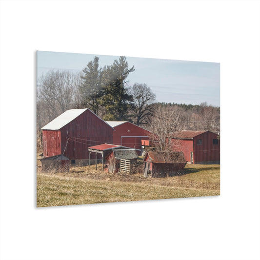 U R There Photography Bronson Lake Reds Rustic Farmhouse Acrylic Wall Print