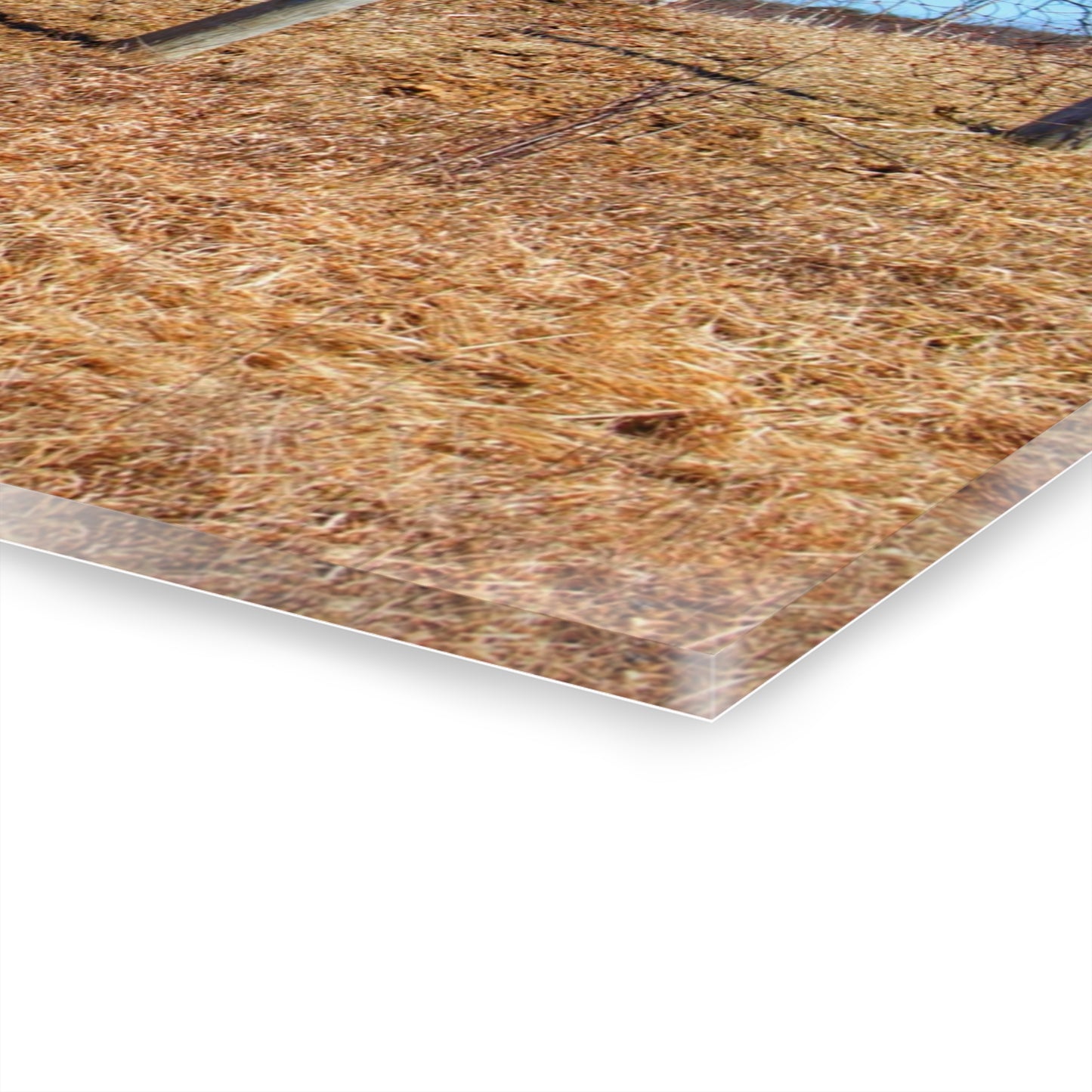 U R There Photography Marathon Haybarn on the Hill II Rustic Farmhouse Acrylic Wall Print