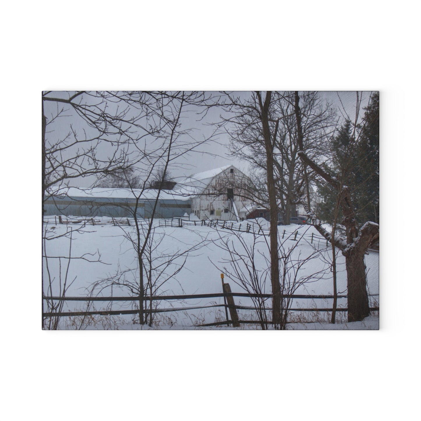 U R There Photography Oakwood Hidden White Rustic Farmhouse Tempered-Glass Cutting Board