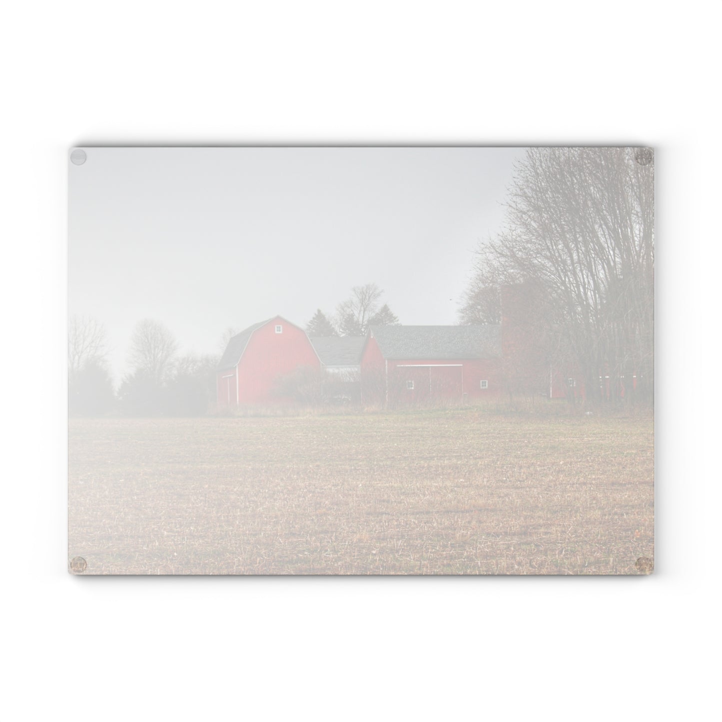 U R There Photography Kidder Road Reds Rustic Farmhouse Tempered-Glass Cutting Board