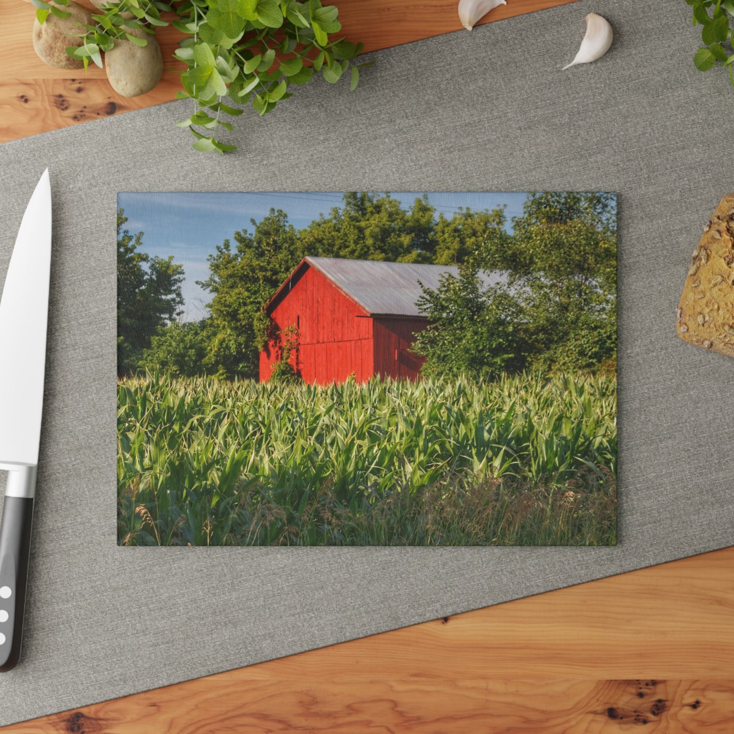 U R There Photography Willard Road Red III Rustic Farmhouse Tempered-Glass Cutting Board