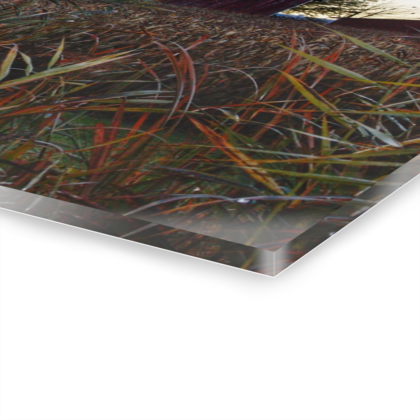 U R There Photography Haines Road Hidden Reds Rustic Farmhouse Acrylic Wall Print