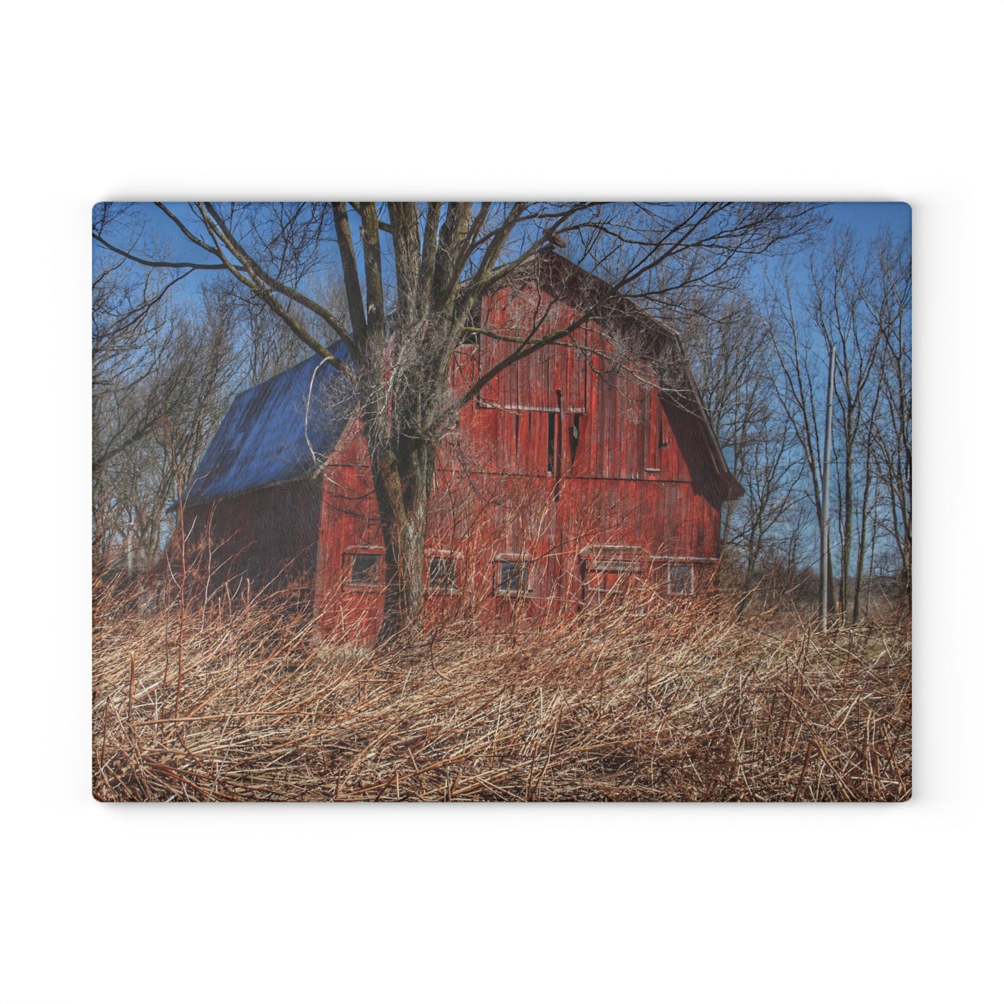 U R There Photography East Dodge Road Red Rustic Farmhouse Tempered-Glass Cutting Board