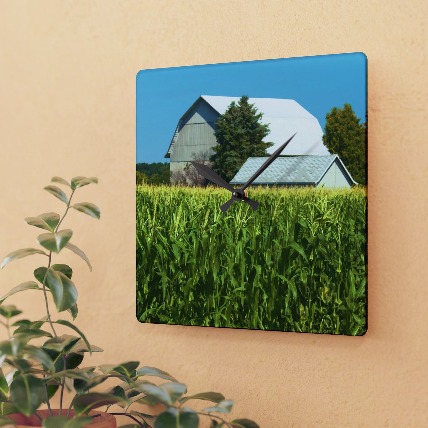 U R There Photography White Cornfield Barn Rustic Farmhouse Acrylic Analog Wall Clock