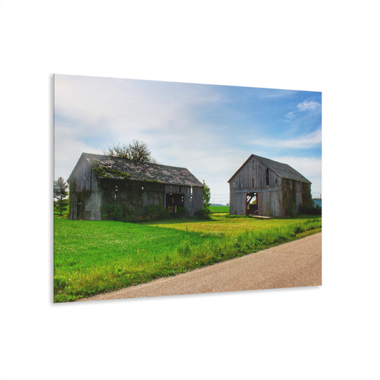 U R There Photography Caro Road Twin Greys I Rustic Farmhouse Acrylic Wall Print