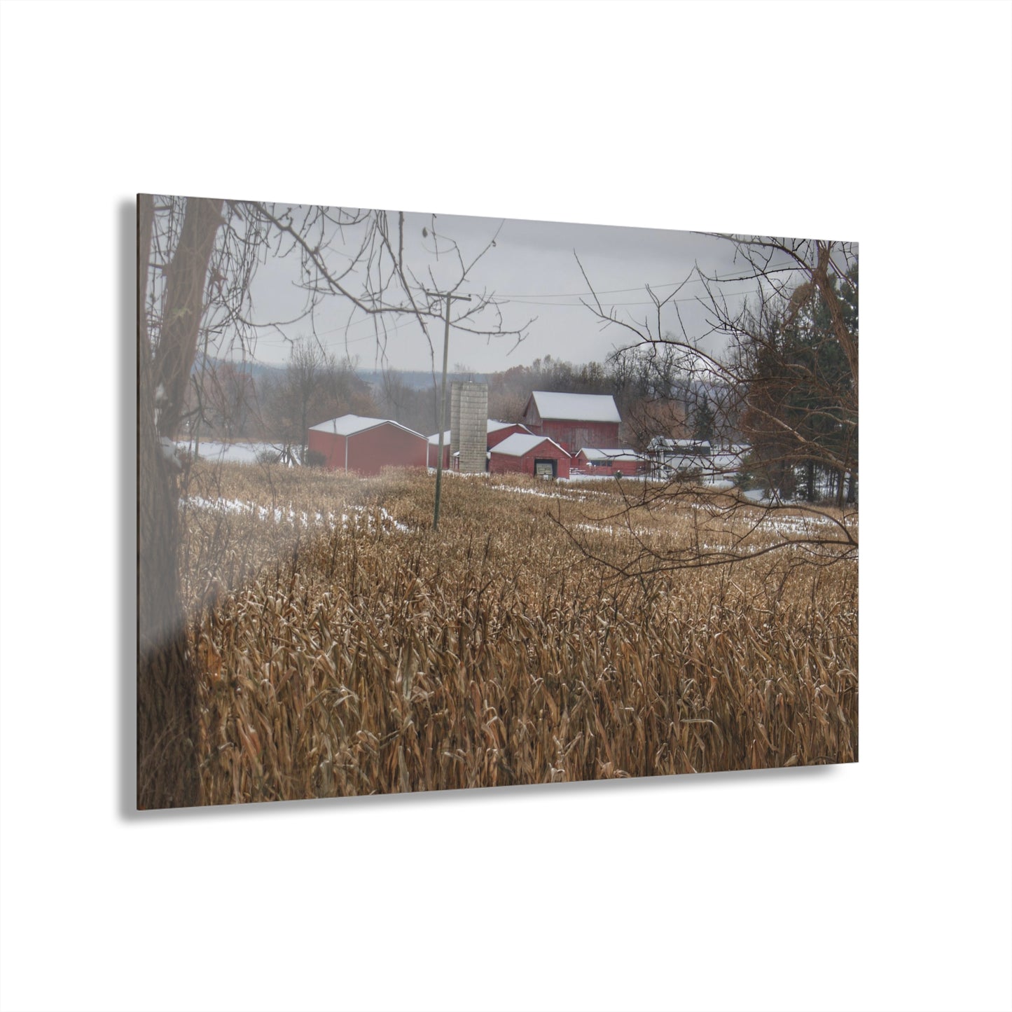 U R There Photography Beyond the Cornfield on Sutton Rustic Farmhouse Acrylic Wall Print