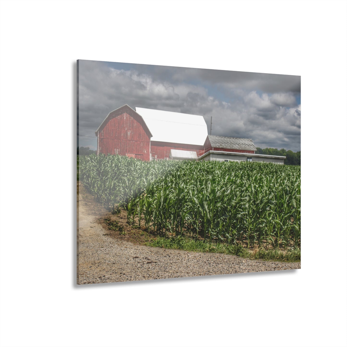 U R There Photography Millington Road Reds Rustic Farmhouse Acrylic Wall Print