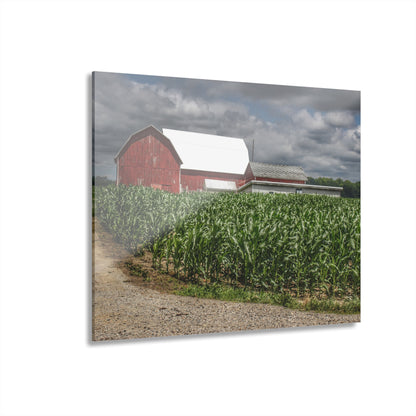 U R There Photography Millington Road Reds Rustic Farmhouse Acrylic Wall Print