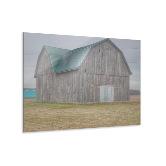 U R There Photography Forest Road Grey Rustic Farmhouse Acrylic Wall Print