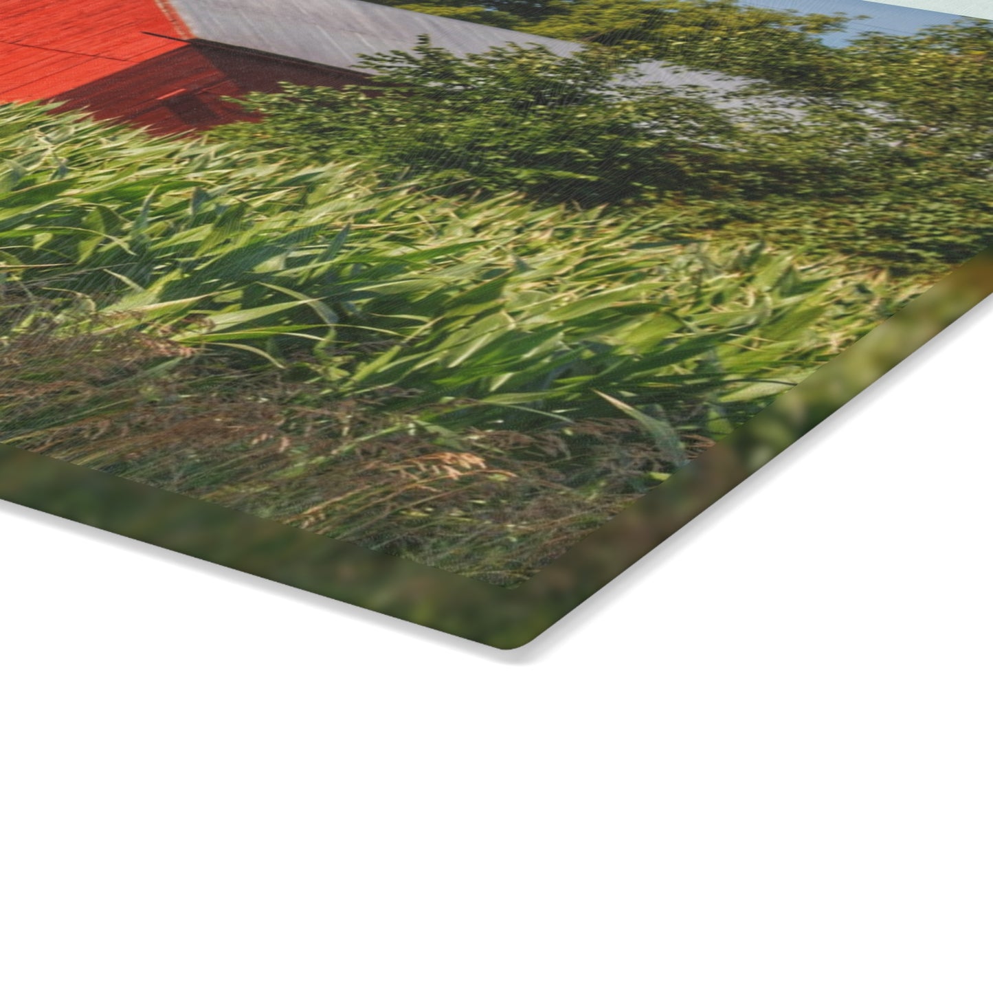 U R There Photography Willard Road Red III Rustic Farmhouse Tempered-Glass Cutting Board