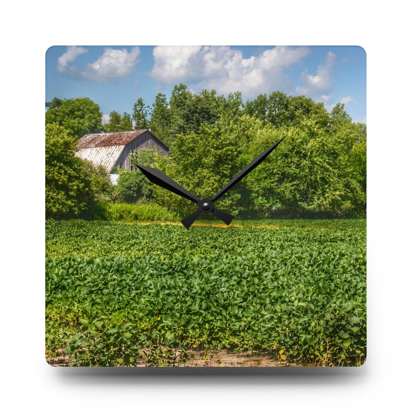 U R There Photography Canada Road Hidden Rustic Farmhouse Acrylic Analog Wall Clock