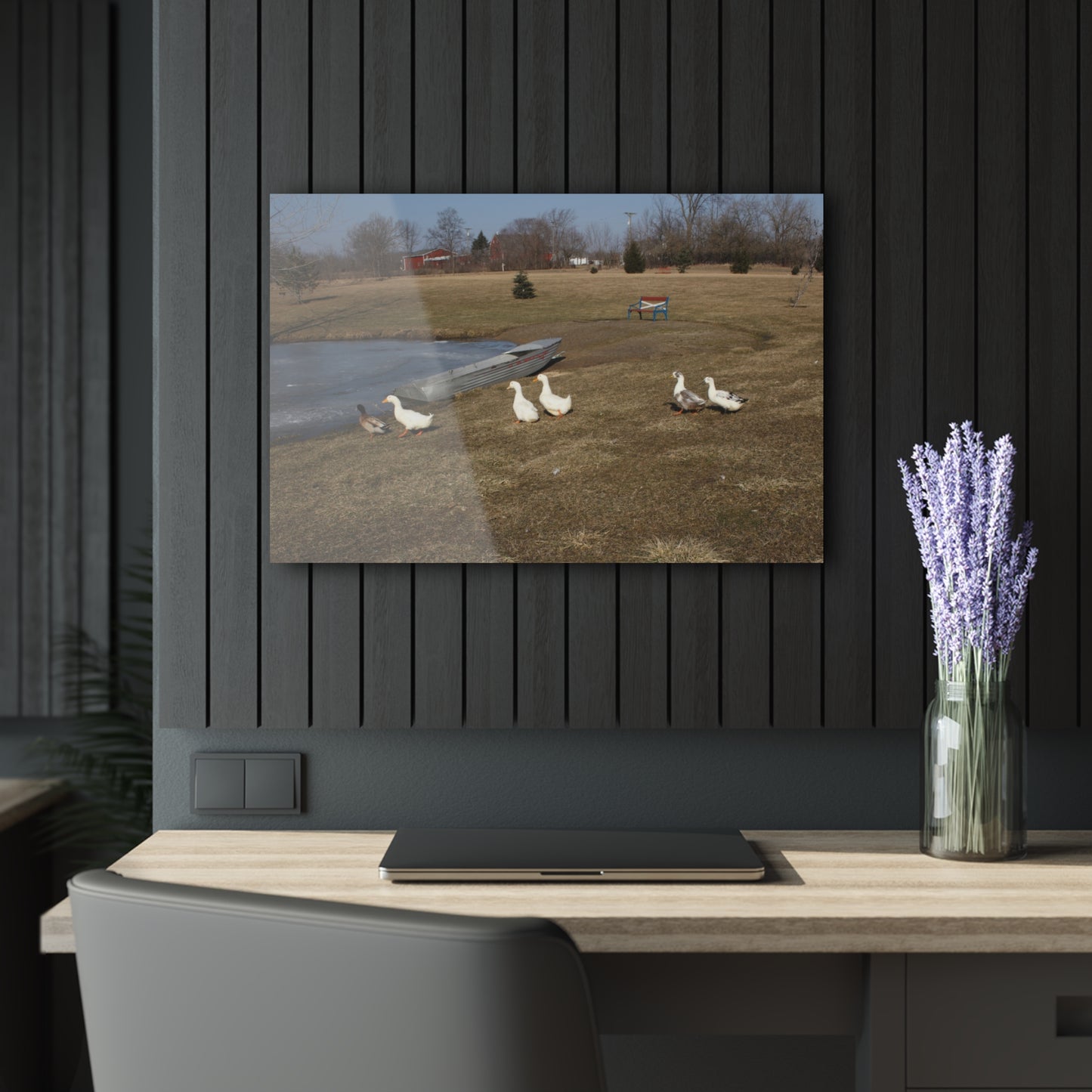 Barn Boutique Modern Farmhouse Acrylic Wall Print| Ducks of Wheeling Road II