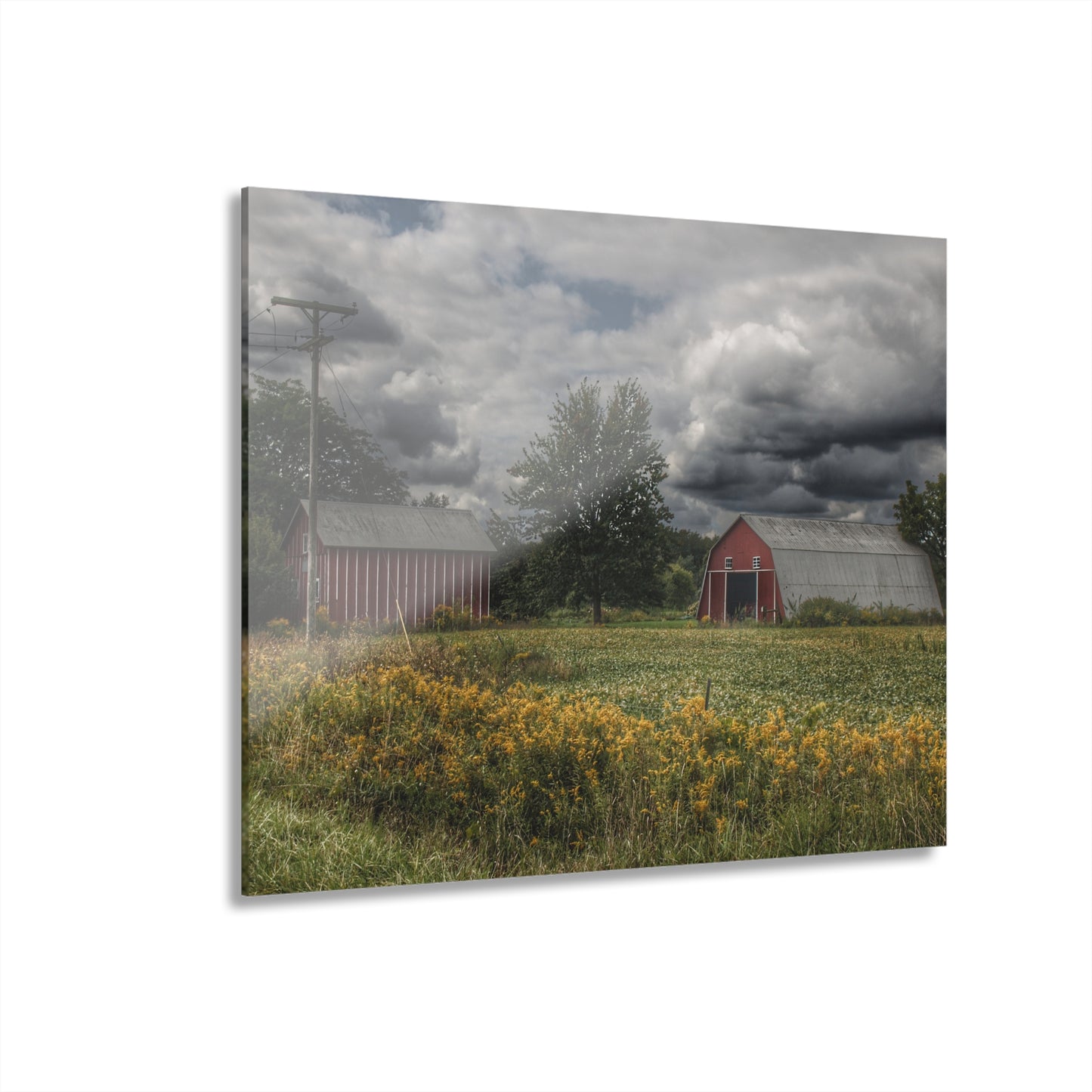 U R There Photography Pinstripe Barn and Buddy II Rustic Farmhouse Acrylic Wall Print