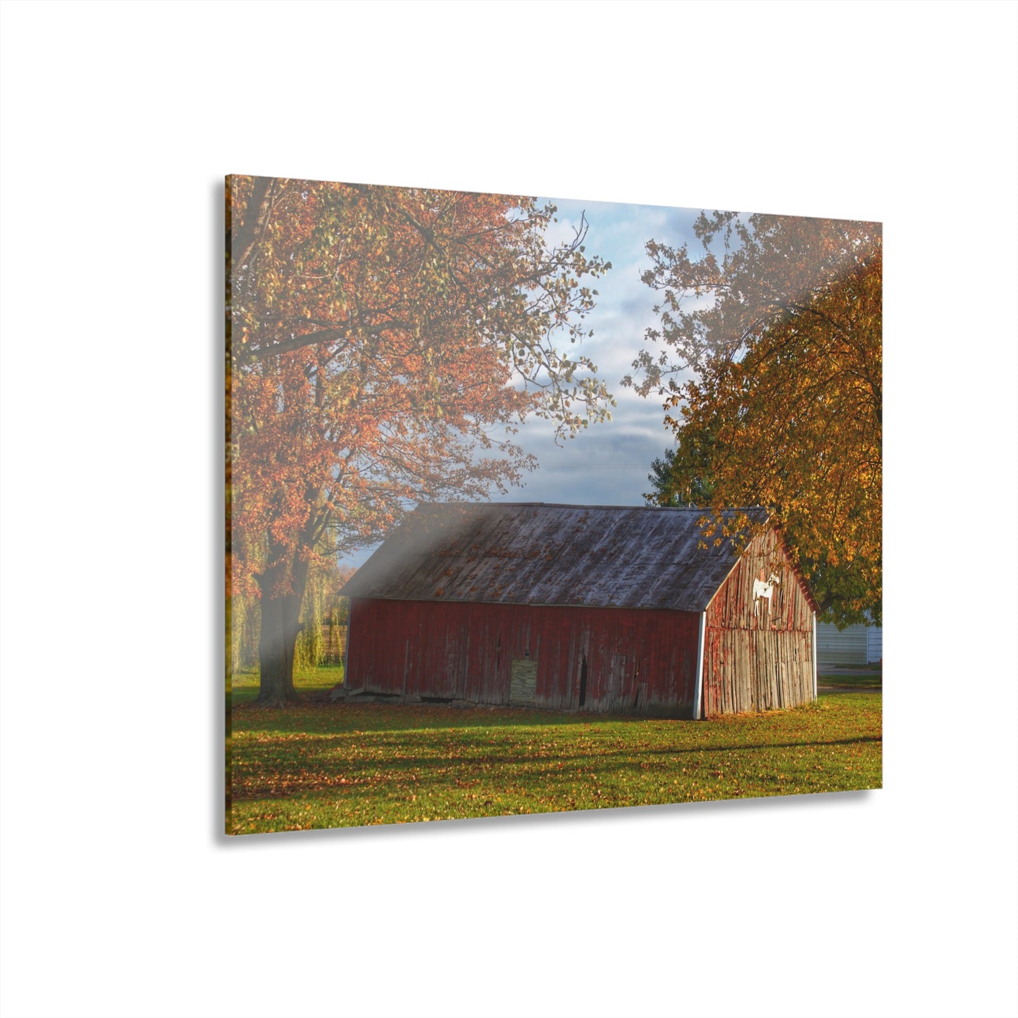 U R There Photography Marlette Road Fall Red Rustic Farmhouse Acrylic Wall Print