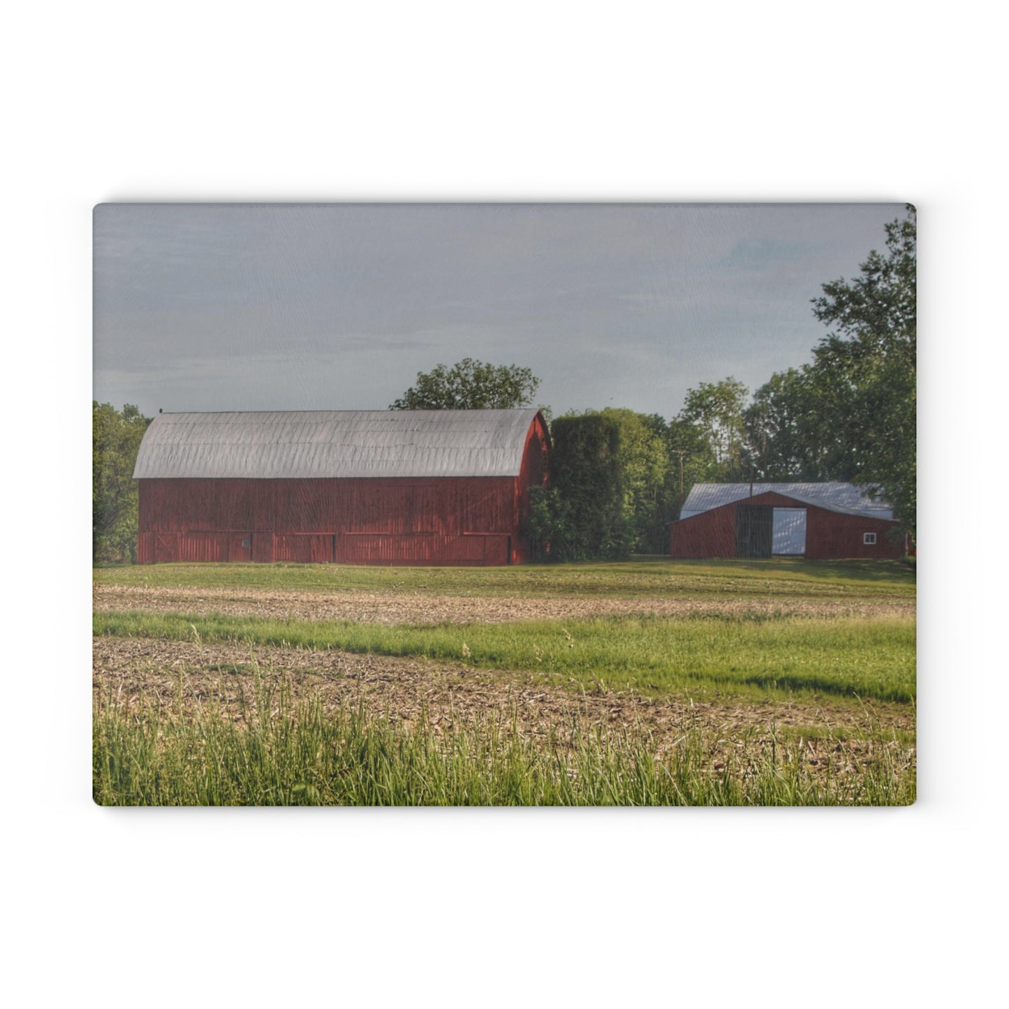 U R There Photography Catlin Road Reds Rustic Farmhouse Tempered-Glass Cutting Board