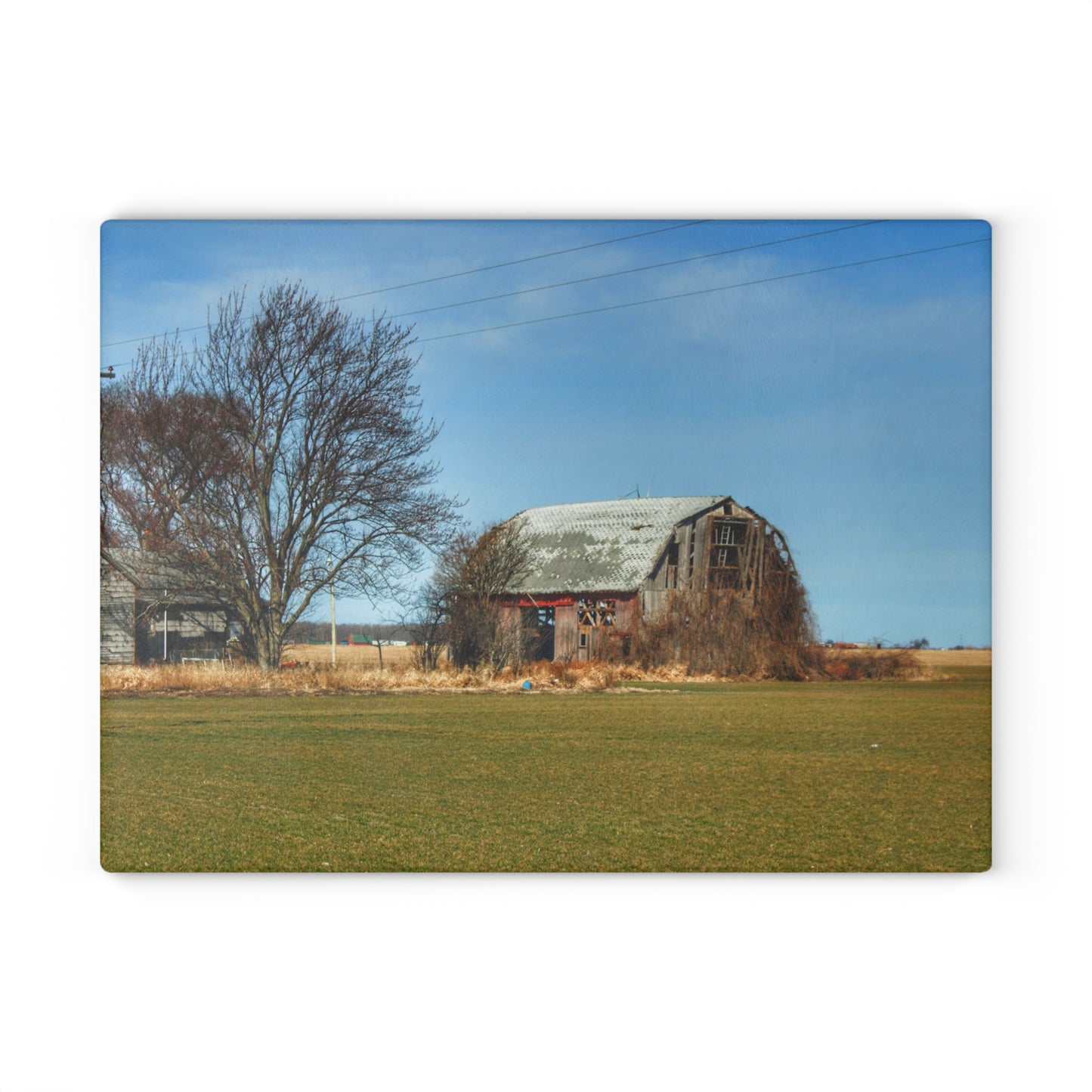 U R There Photography Bay City - Forestville Forgotten Grey Rustic Farmhouse Tempered-Glass Cutting Board