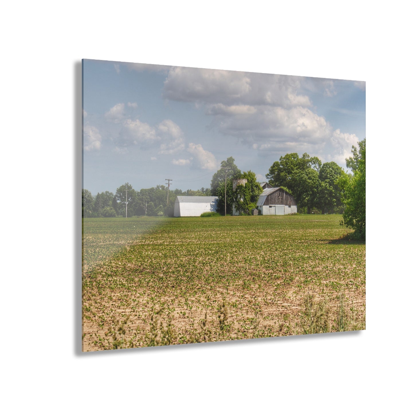 U R There Photography Willard Road White Rustic Farmhouse Acrylic Wall Print