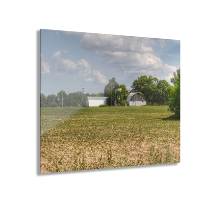 U R There Photography Willard Road White Rustic Farmhouse Acrylic Wall Print