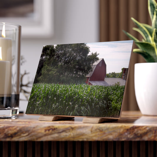 U R There Photography Above the Corn on Piersonville Road III Rustic Farmhouse Decorative Ceramic Tile