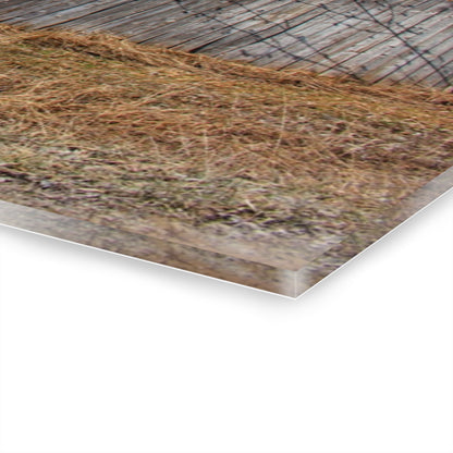U R There Photography Romeo Plank Road Forgotten Greys Rustic Farmhouse Acrylic Wall Print
