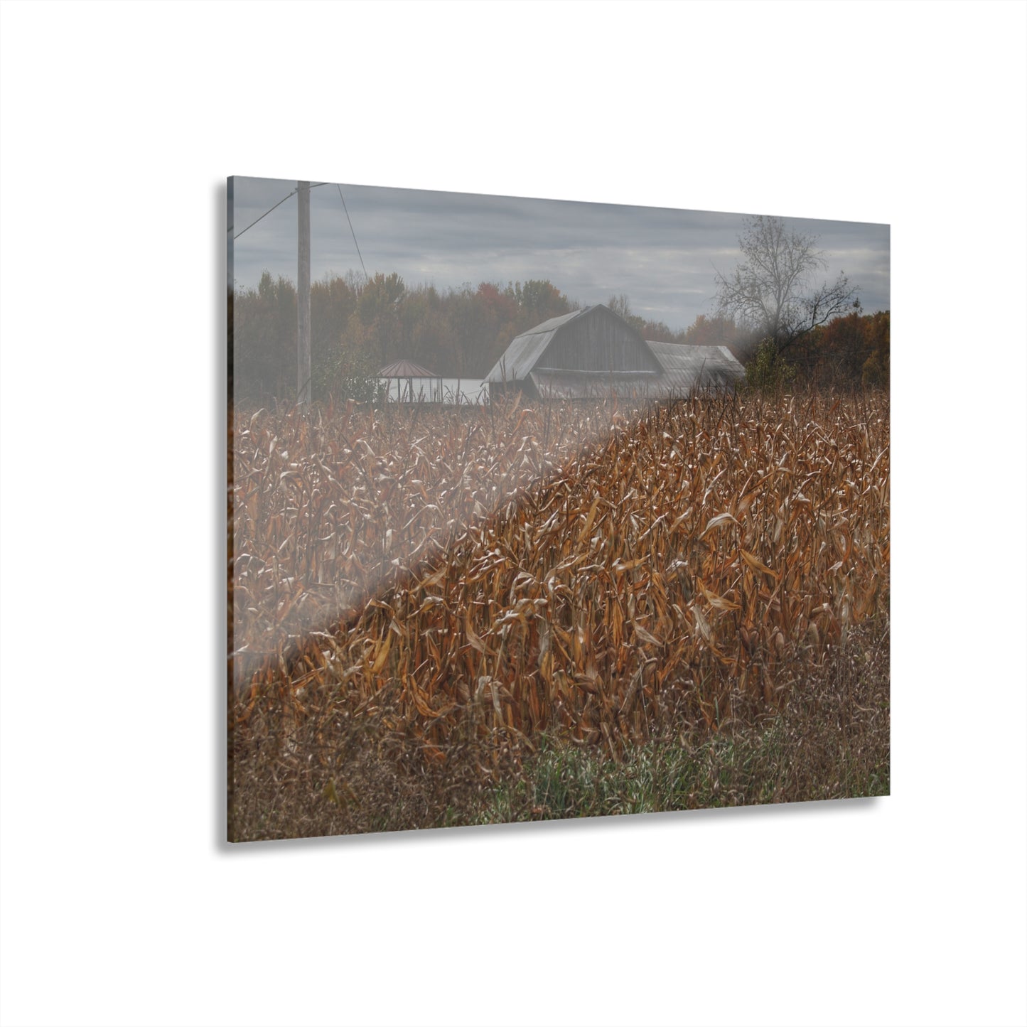 U R There Photography North State Road Grey Rustic Farmhouse Acrylic Wall Print