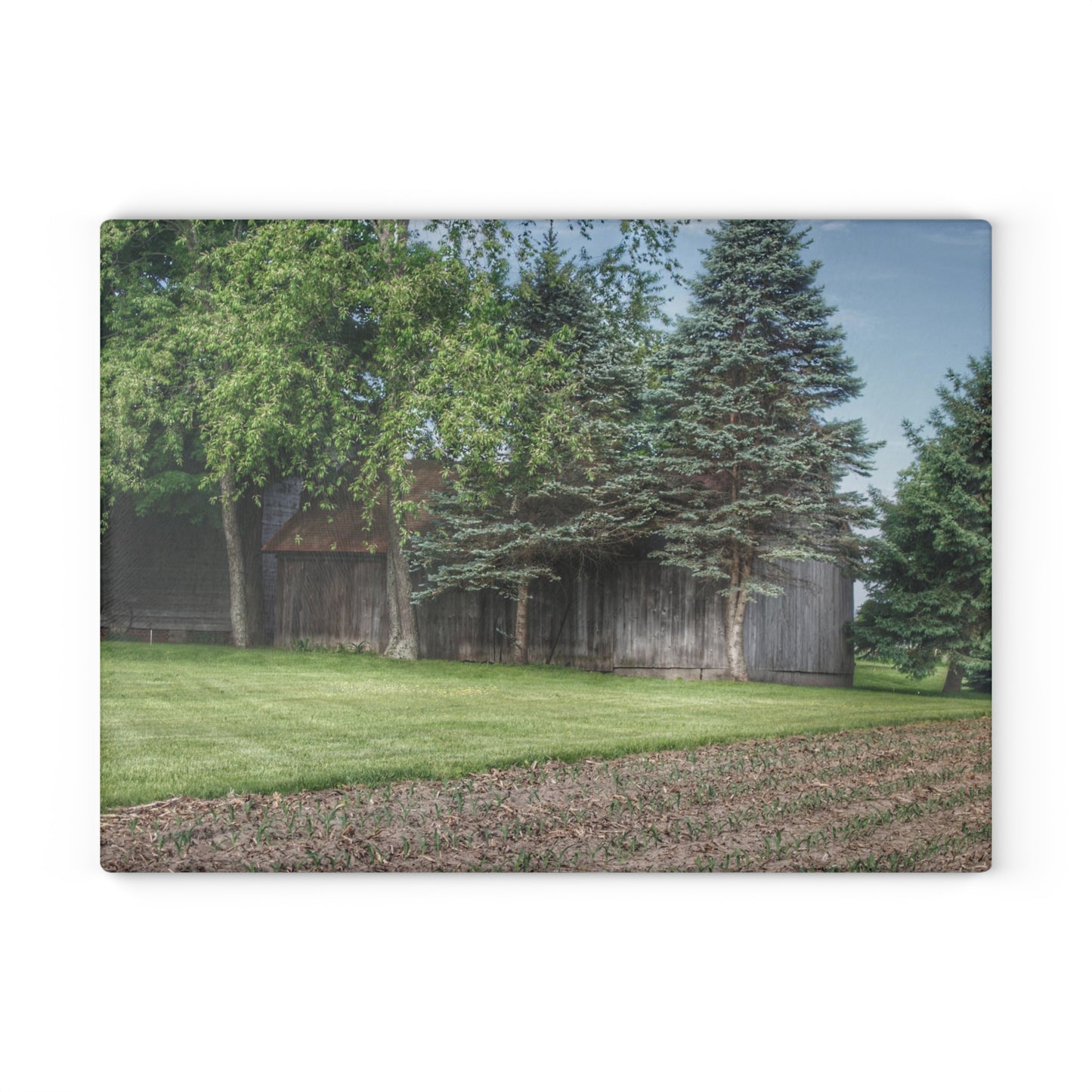 U R There Photography Barkley Road Greys II Rustic Farmhouse Tempered-Glass Cutting Board