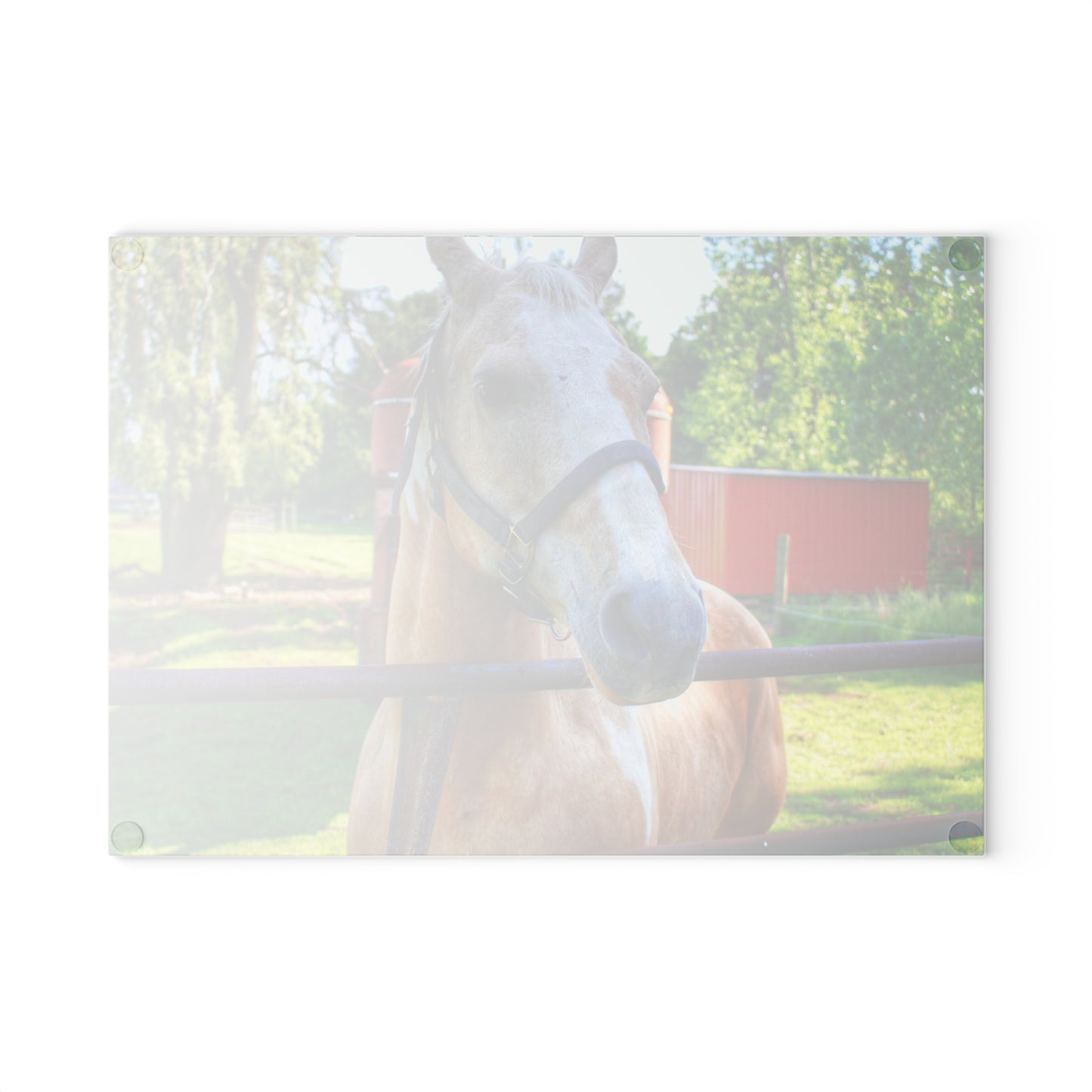 U R There Photography White Cream Mare of Hollenbeck Rustic Farmhouse Tempered-Glass Cutting Board