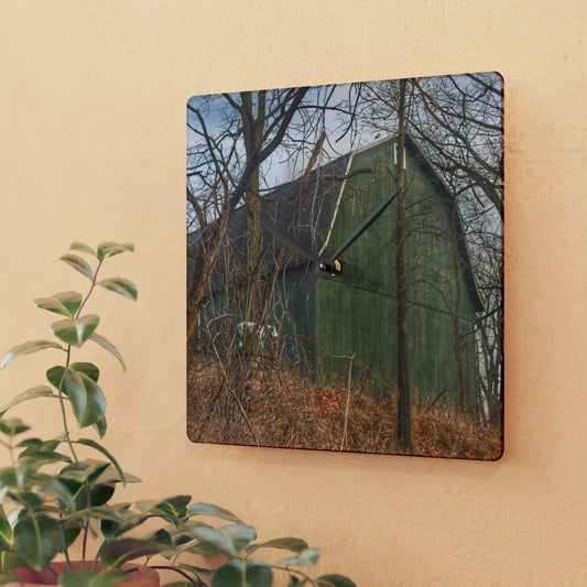 U R There Photography Yale Road Hidden Green Rustic Farmhouse Acrylic Analog Wall Clock