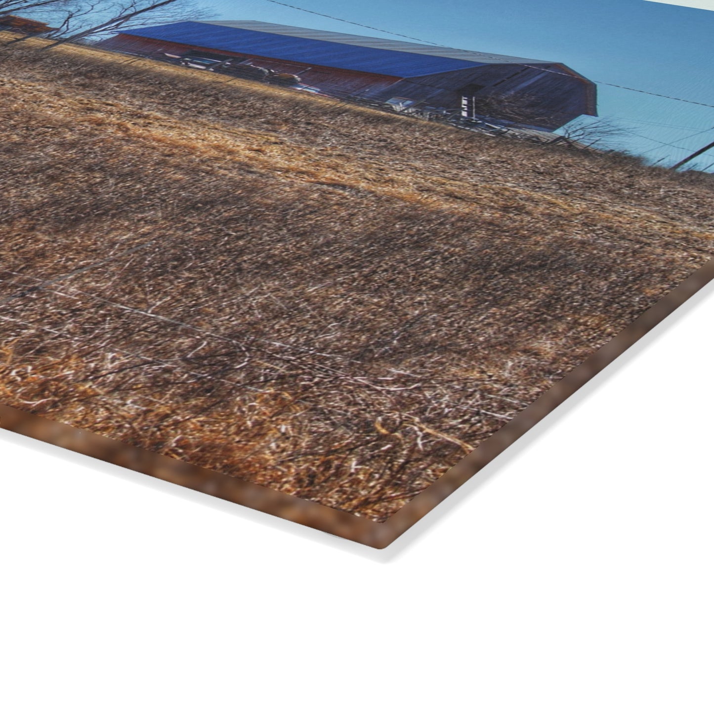 U R There Photography Marathon Haybarn on the Hill I Rustic Farmhouse Tempered-Glass Cutting Board