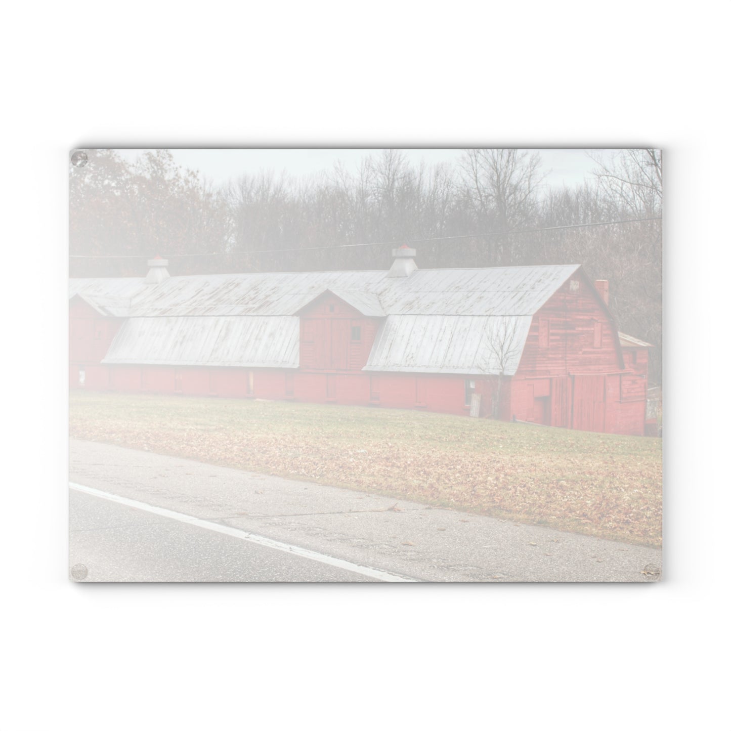U R There Photography Caseville Red Rustic Farmhouse Tempered-Glass Cutting Board