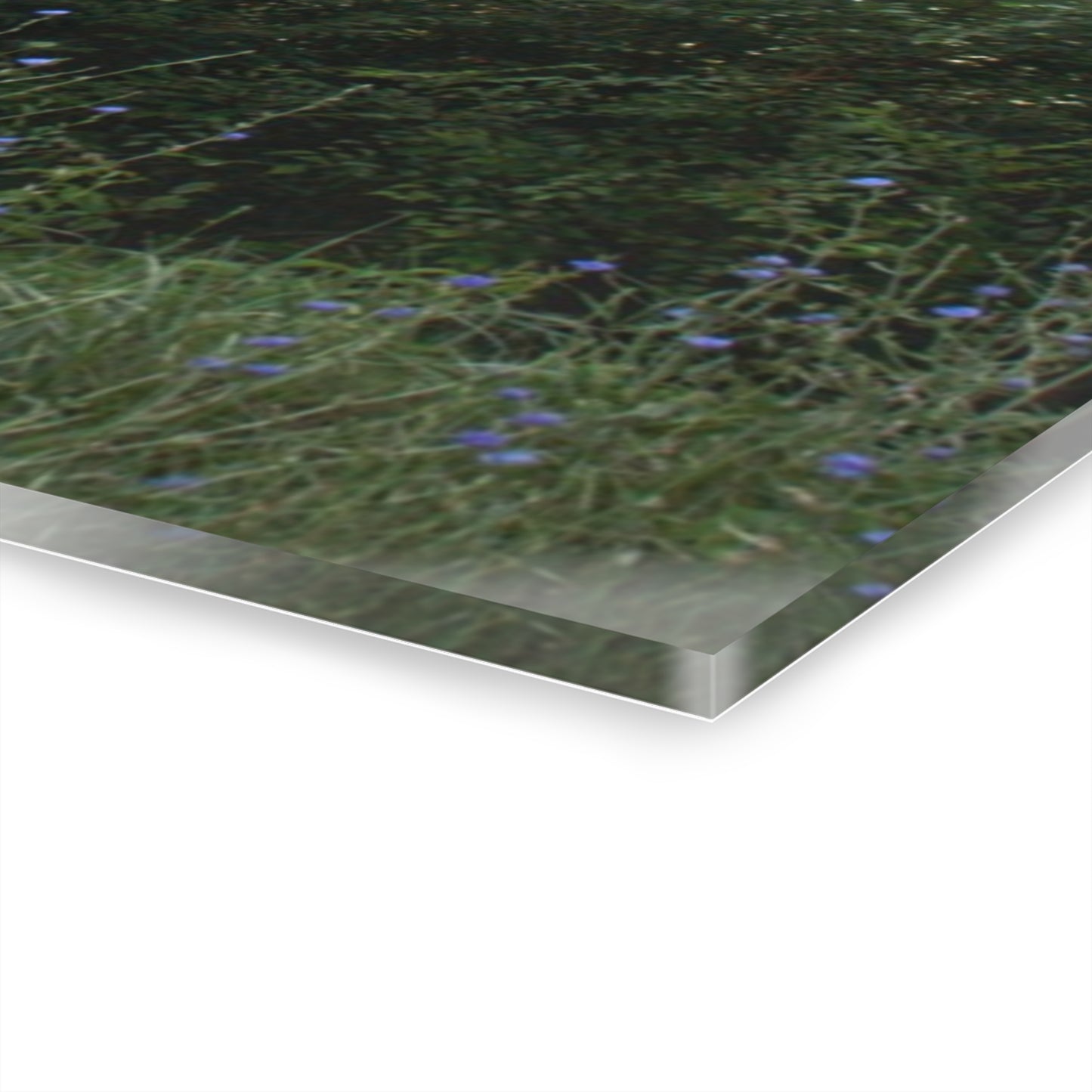 U R There Photography Genesee Road Red I Rustic Farmhouse Acrylic Wall Print