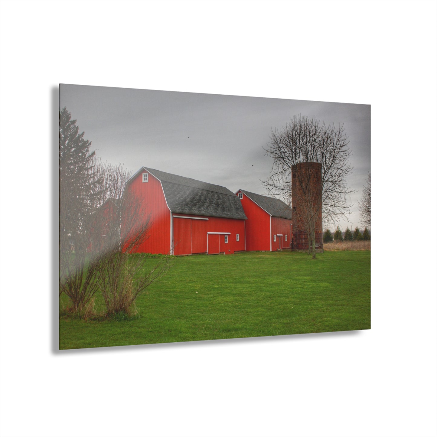 Barn Boutique Modern Farmhouse Acrylic Wall Print| Hough Road Reds III