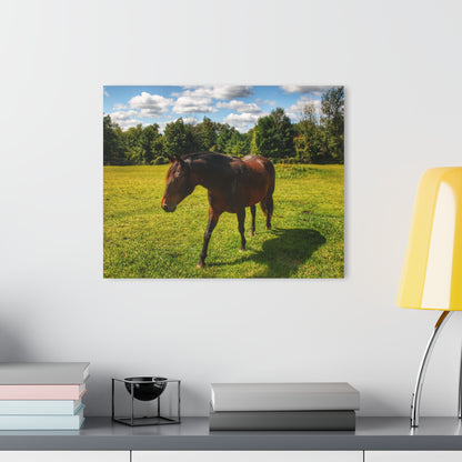U R There Photography Brown Beauty II Rustic Farmhouse Acrylic Wall Print