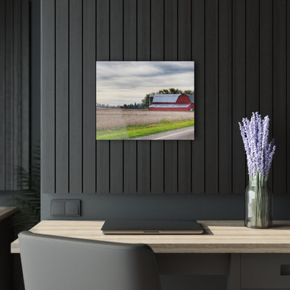 U R There Photography Brown City Red II Rustic Farmhouse Acrylic Wall Print