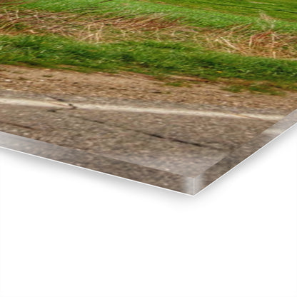 U R There Photography Fostoria Red III Rustic Farmhouse Acrylic Wall Print