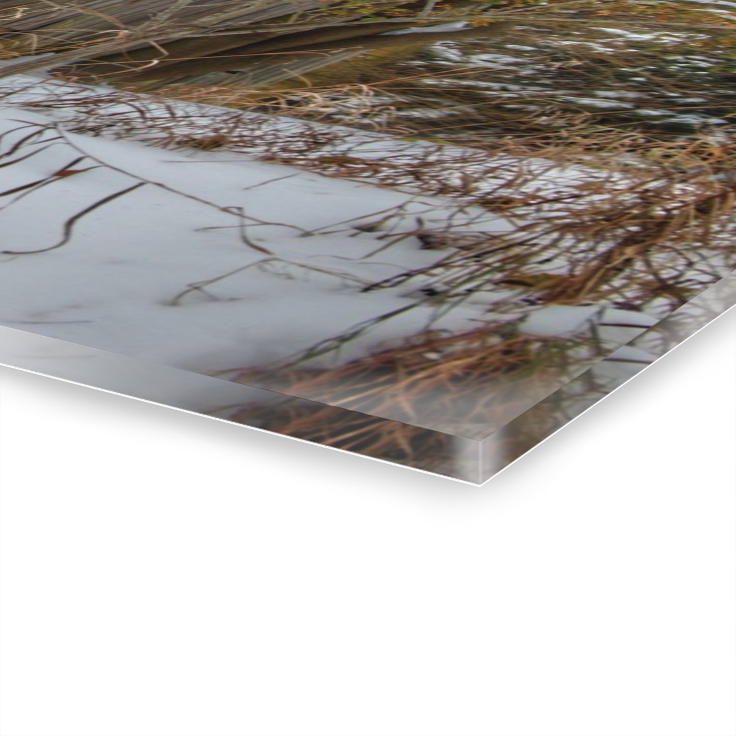 U R There Photography Hayes Road Grey in Winter I Rustic Farmhouse Acrylic Wall Print