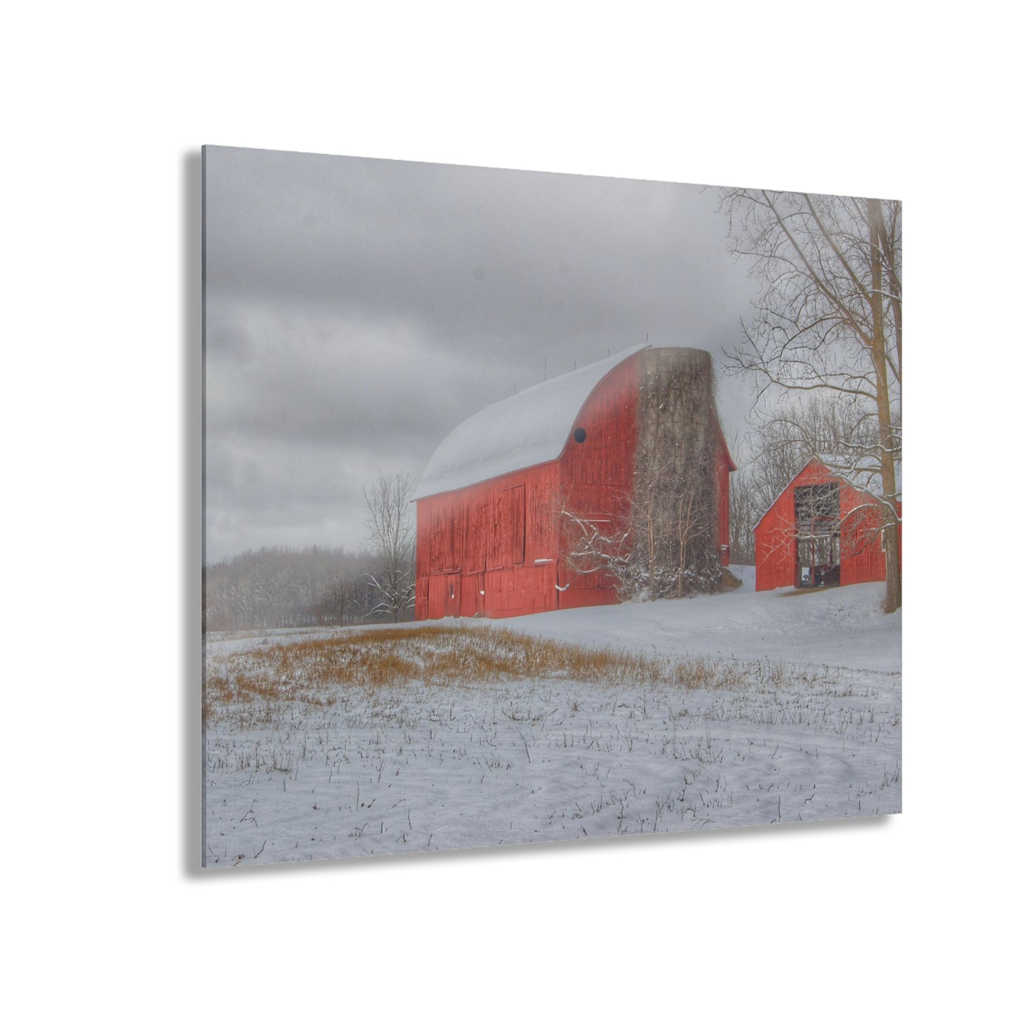 U R There Photography Catlin Reds in Winter II Rustic Farmhouse Acrylic Wall Print
