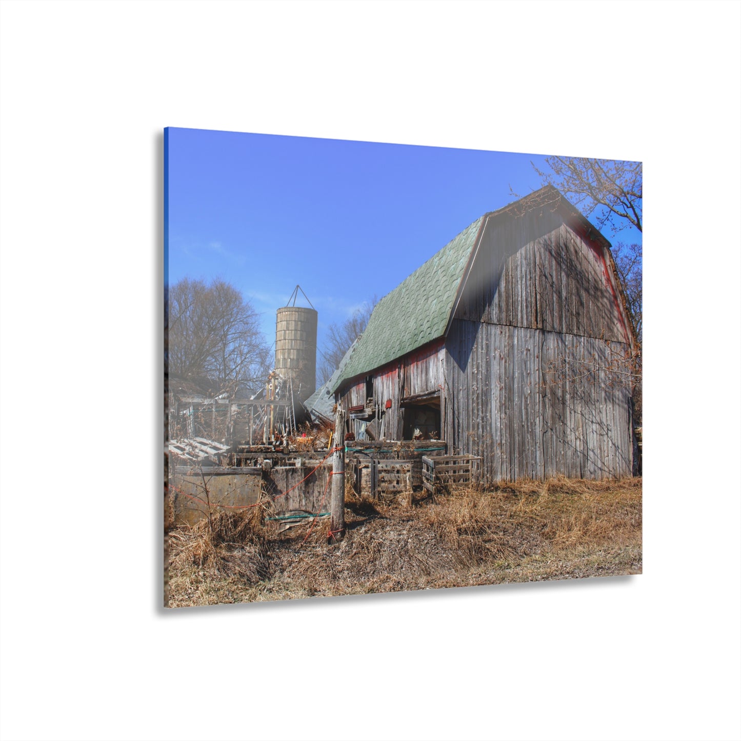 U R There Photography Romeo Plank Road Forgotten Greys Rustic Farmhouse Acrylic Wall Print