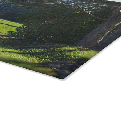 U R There Photography Hosner Road Hidden Grey Rustic Farmhouse Tempered-Glass Cutting Board