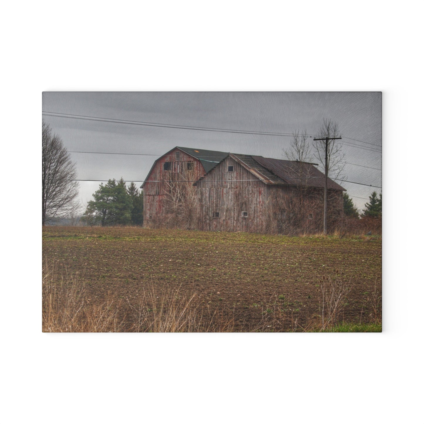 U R There Photography Bowers Road Grey Duo I Rustic Farmhouse Tempered-Glass Cutting Board