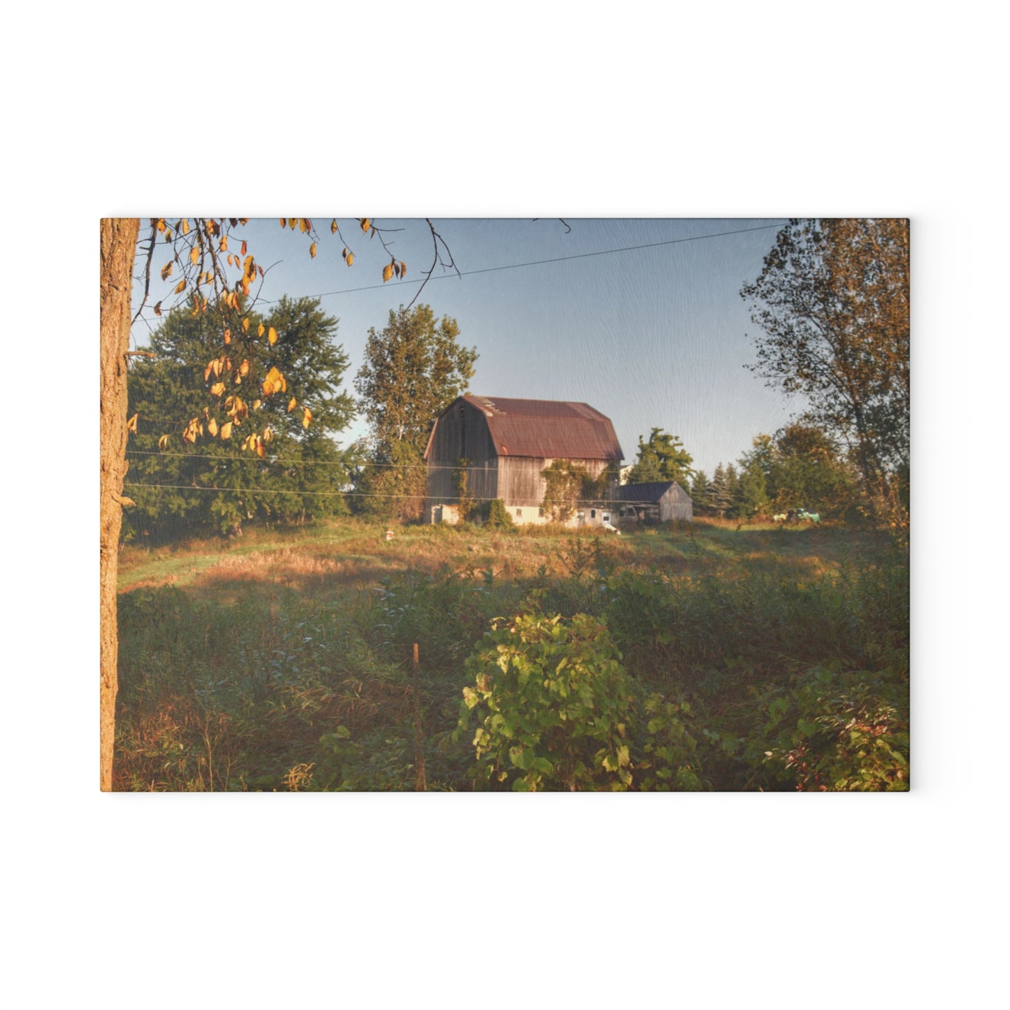 U R There Photography Swaffer Road Little Grey Rustic Farmhouse Tempered-Glass Cutting Board